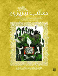 کتاب غزلیات شیرین صائب تبریزی - front