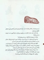 کتاب فرزند سیمرغ - تصویر 2
