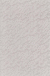 کتاب قرآن کریم (2 رنگ) - back