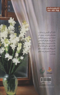 کتاب قلبی برایت می‌تپد - تصویر 2