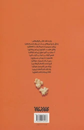 کتاب لانگ شوت - back