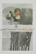 کتاب لیوان شکسته - تصویر 1