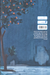 کتاب ماجرای پیرمرد عجیب - back