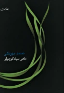 کتاب ماهی سیاه کوچولو - تصویر 1
