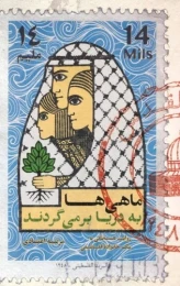 کتاب ماهی ها به دریا بر می گردند - front