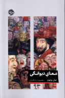 کتاب معنای دیوانگی - تصویر 1