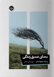کتاب معنای عمیق زندگی - front