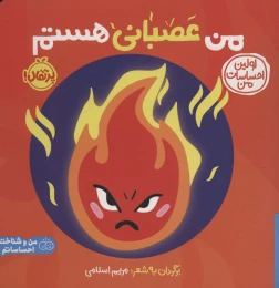 کتاب من عصبانی هستم - front