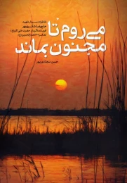 کتاب می روم تا مجنون بماند - front
