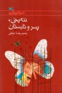 کتاب ننه‌یخی، پسر و تابستان - تصویر 1