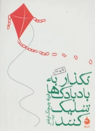 کتاب نگذار به بادبادک ها شلیک کنند - front