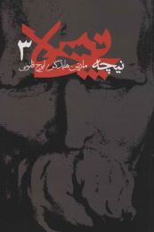 کتاب نیچه (3) - front