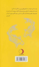 کتاب هوآ هو چینگ - back
