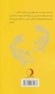 کتاب هوآ هو چینگ - تصویر 2