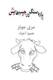 کتاب پاره سنگ در جیب هایش