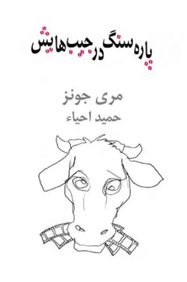 کتاب پارهسنگ در جیبهایش