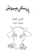 کتاب پاره‌سنگ در جیب‌هایش - تصویر 1