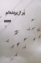 کتاب پر از پرنده ام - front