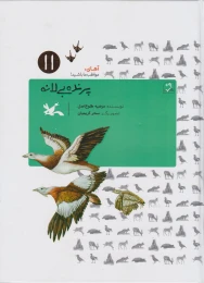 کتاب پرنده بی لانه - front