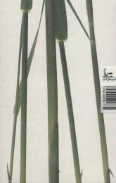 کتاب پس از بیست سال - back