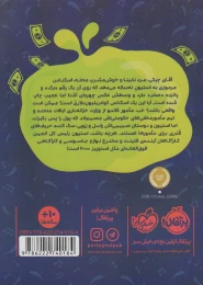 کتاب پول چرب و چیلی آقای چیکی - back