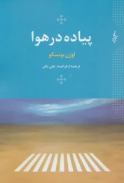 کتاب پیاده در هوا - front