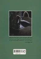 کتاب چستر راکون و بوسه‌ی خداحافظی - تصویر 2