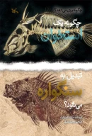 کتاب چگونه یک استخوان تبدیل به سنگواره می‌شود؟ - تصویر 1