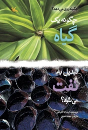 کتاب چگونه یک گیاه تبدیل به نفت می شود؟ - front