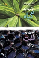 کتاب چگونه یک گیاه تبدیل به نفت می‌شود؟ - تصویر 1