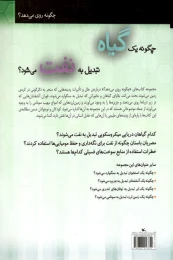 کتاب چگونه یک گیاه تبدیل به نفت می شود؟ - back