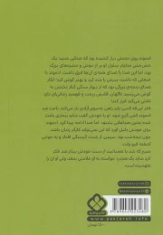 کتاب کنت مونت کریستو - back
