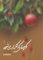 کتاب کوچه‌ای که تکرار می‌شود - تصویر 1