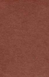 کتاب گلستان سعدی محرمی با مینیاتور - back