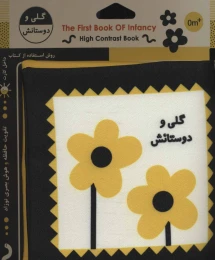 کتاب گلی و دوستانش - front
