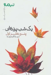 کتاب یک شب پرنده ای... - front