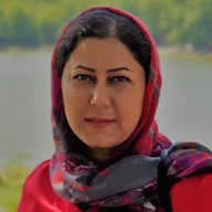 پروفایل