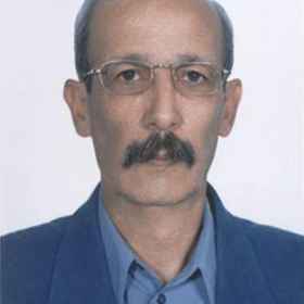 تصویر محمدرضا گرگین زاده