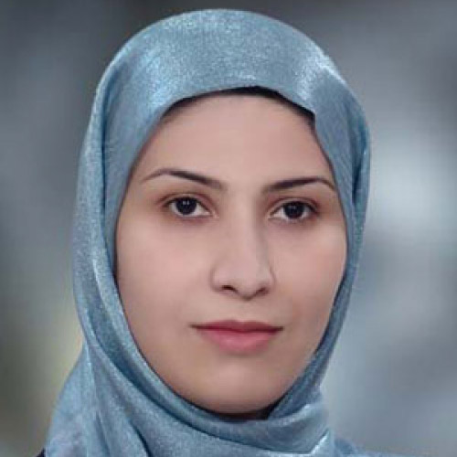 تصویر مهناز صیدی