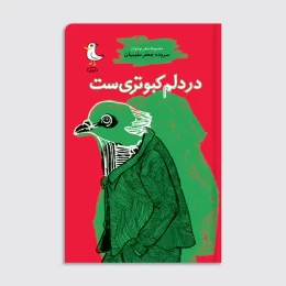 کتاب در دلم کبوتری است - front
