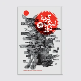 کتاب گربه لنگ دراز - front