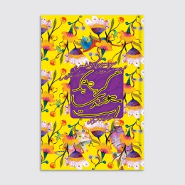 کتاب گربه یک مهندس است - front