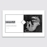 کتاب نگهبان غار - تصویر 2