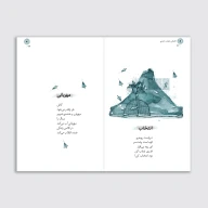 کتاب کاشکی اجازه داشتم - تصویر 3