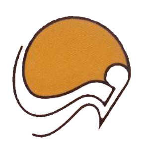 لوگوی مهرسا
