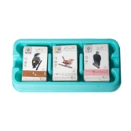بازی فکری وينگ اسپن Wingspan - تصویر 4