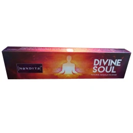 عود دست‌ساز دیواین سول (روح الهی) ناندیتا مدل Divine Soul - front