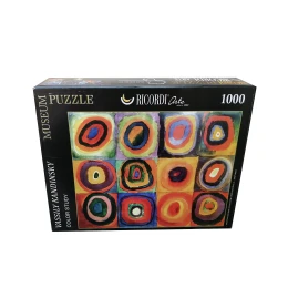 پازل 1000 تکه ریکوردی طرح مطالعه رنگ ها کد 450 - front