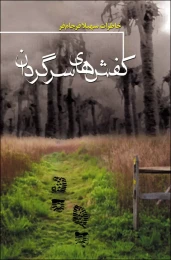 کتاب کفش‌های سرگردان - back