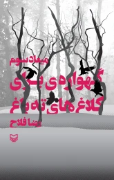 کتاب گهواره‌ای برای کلاغ‌های ته باغ - front